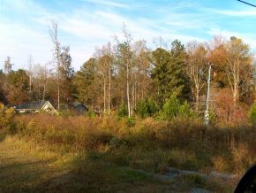0 County Road 1303, Cullman, AL 35058 
