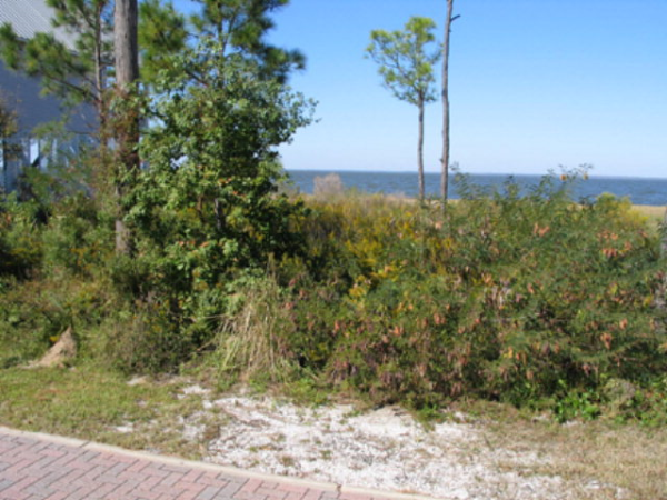 12475 West Highway 180, Gulf Shores, AL 36542 