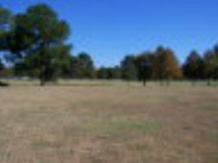 0 Olde Park Rd, Gulf Shores, AL 36542 