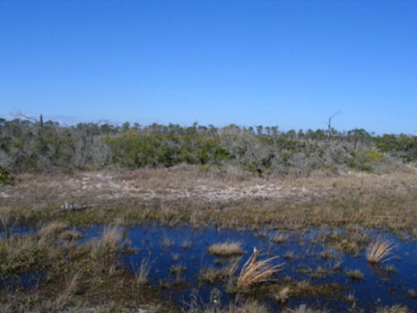 0 Breeze Time Circle, Gulf Shores, AL 36542 