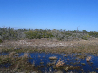 0 Breeze Time Circle, Gulf Shores, AL 36542 