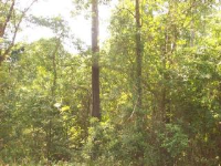 0 Boykin Blvd., Lillian, AL 36549 