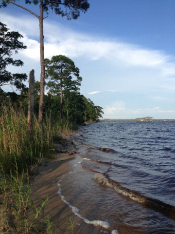 28 Boykin Blvd, Lillian, AL 36549 