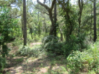 L 17 Bl B Bayou Rd North, Lillian, AL 36549 