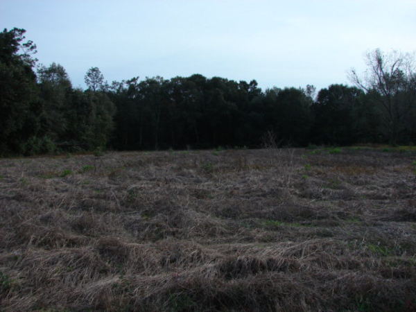 17540 West Highway 104, Robertsdale, AL 36567 