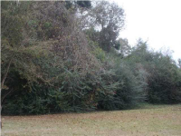 0 Azalea Ct, Semmes, AL 36575 