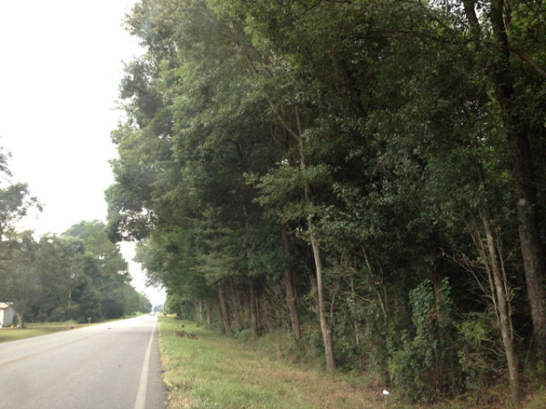 0 County Road 54, Silverhill, AL 36576 