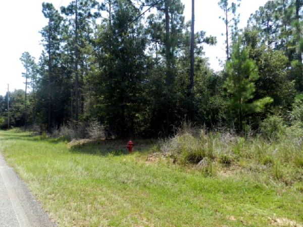 0 Bromley Road, Stapleton, AL 36578 