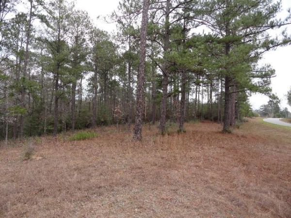 0 Maytower Rd, Stockton, AL 36579 