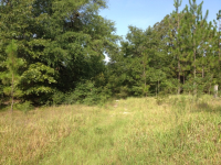 5765 Morgan Ln E, Wilmer, AL 36587 