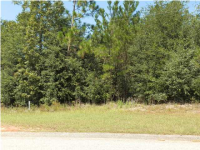 0 Viewpoint Rd, Eight Mile, AL 36613 