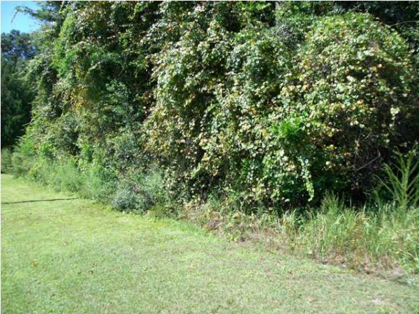 6102 Moffett Rd, Mobile, AL 36618 