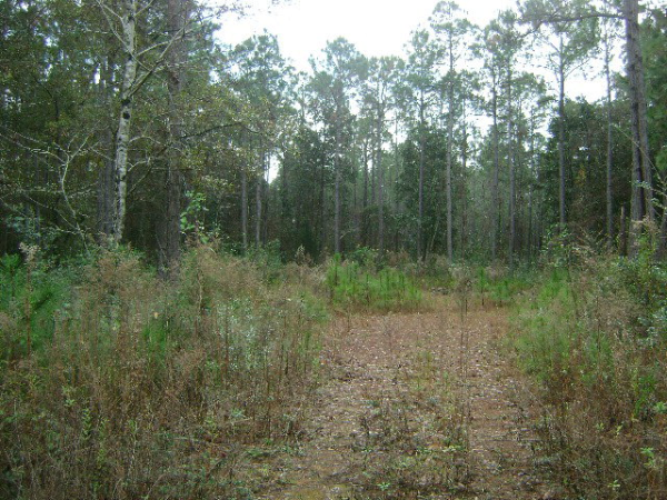 6972 Scenic Highway 98, Fairhope, AL 36532 