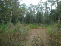 6972 Scenic Highway 98, Fairhope, AL 36532 