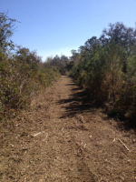 2 Callaway Drive, Fairhope, AL 36532 