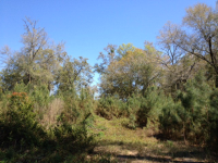 2 Provencher Road, Fairhope, AL 36532 