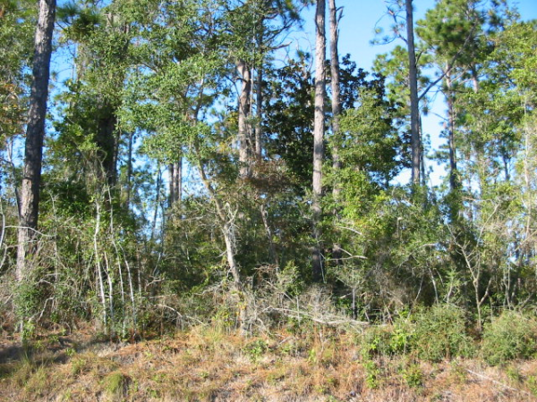 0 Baldwin Street, Elberta, AL 36530 