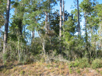 0 Baldwin Street, Elberta, AL 36530 