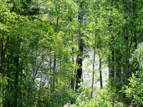 0 Wilkins Creek Ct, Spanish Fort, AL 36527 