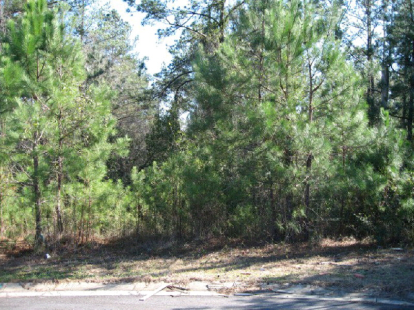 38 Wilkins Creek Court, Spanish Fort, AL 36527 