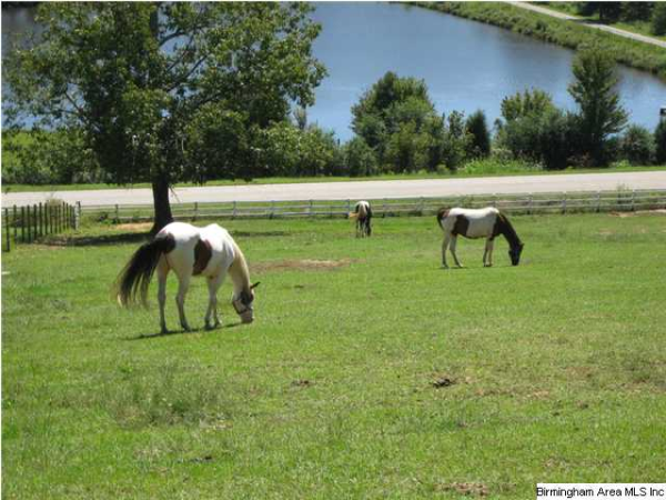 7449 Grey Hill Rd #1, Helena, AL 35188 