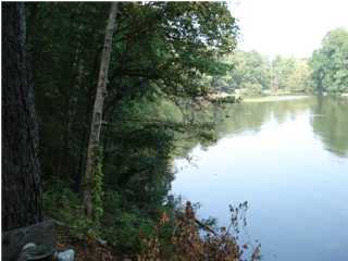 903 CR 404 lot 57, Killen, AL 35645 