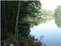903 CR 404 lot 57, Killen, AL 35645 