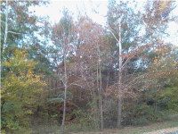 00 Poplar Creek Lp, Leighton, AL 35646 