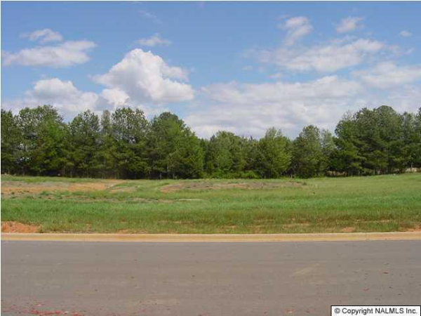 LOT 19 CHRIS RYAN Ln, Toney, AL 35773 