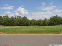 LOT 19 CHRIS RYAN Ln, Toney, AL 35773 