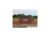LOT 5 CHRIS RYAN Ln, Toney, AL 35773 