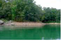 Co Rd 891, Crane Hill, AL 35053 