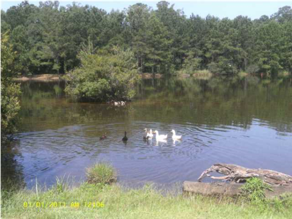 75 Sandy Springs Drive, Wetumpka, AL 36092 