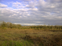 0000 Iris Road, Dothan, AL 36301 