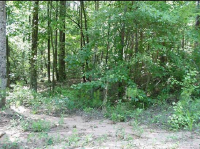 7 W Ridge Drive, Dadeville, AL 36853 