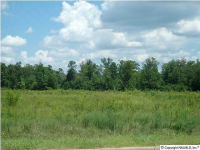 Alabama Highway 77 (Grand Avenue), Rainbow City, AL 35906 