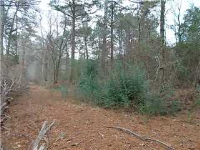 205 Whippoorwill Drive, Hayden, AL 35079 