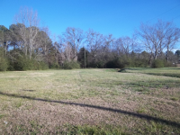 East Street Lot 105, Moulton, AL 35650 