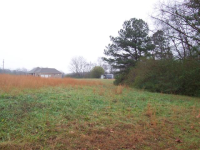 0 County Rd 1335, Vinemont, AL 35179 