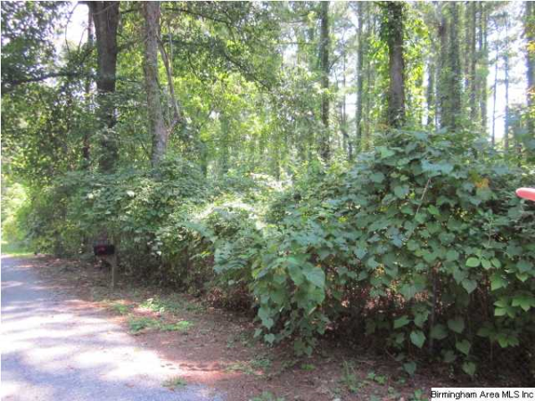 0 Bluff Road #17, Tuscumbia, AL 35674 