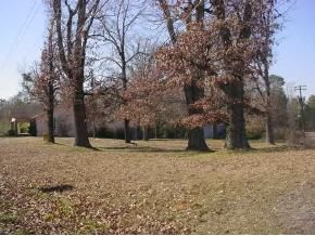 123 Sharon Blvd, Dora, AL 35062 