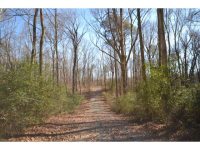 0 Co Rd 419, Cullman, AL 35057 