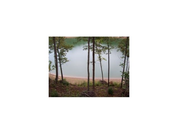 50 County Rd 309, Crane Hill, AL 35053 