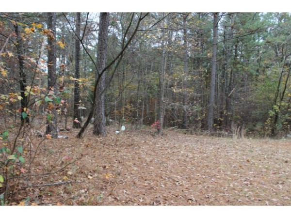 27173 Co Rd 49, Myscadine, AL 36269 