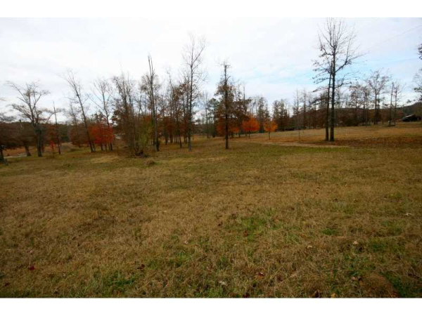 0 County Road 102, Other-Alabama, AL 35959 