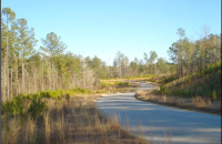 Lots And 65.54 Acres, Calera, AL 35115 