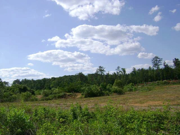 County Road 17, Maylene, AL 35114 