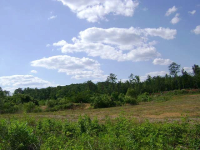 County Road 17, Maylene, AL 35114 