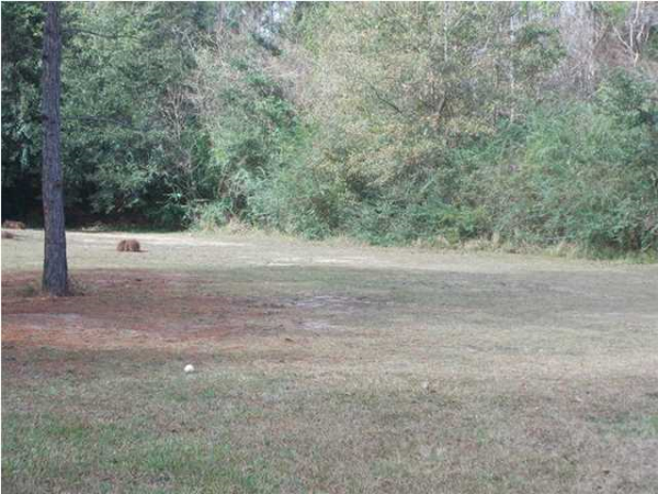 404 W Lakeview Dr 5, Mobile, AL 36695 