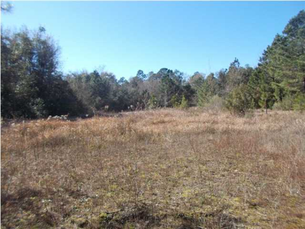 0 E Lakeview Dr, Mobile, AL 36695 